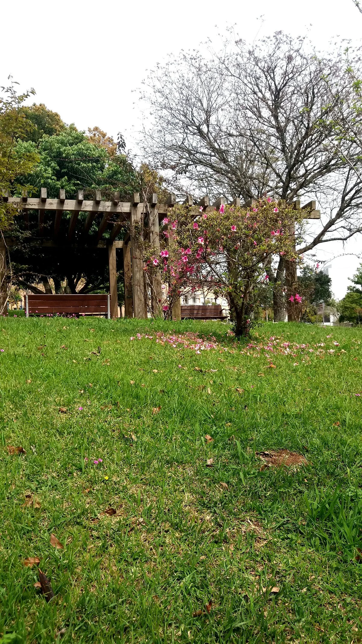 Praca do Imigrante