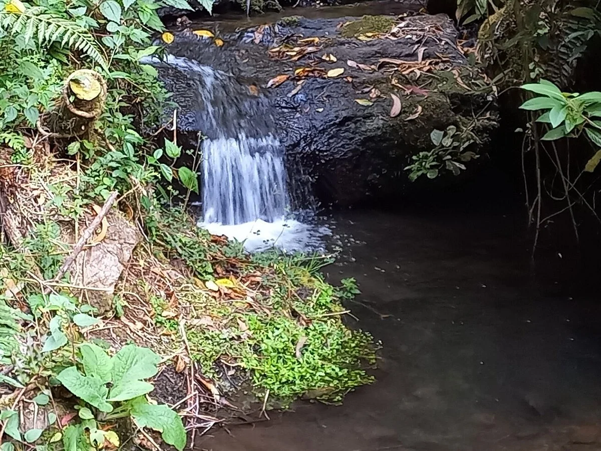 Quebrada la Vieja