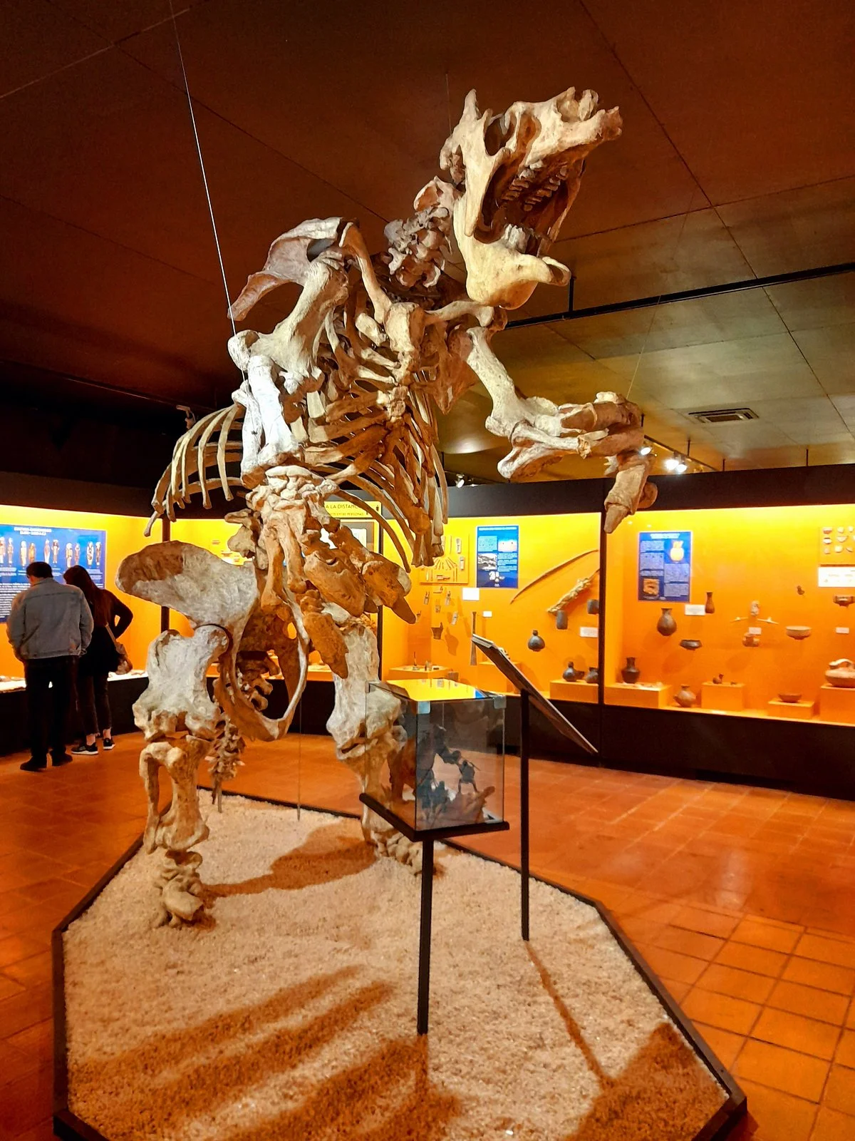 Museo Colchagua