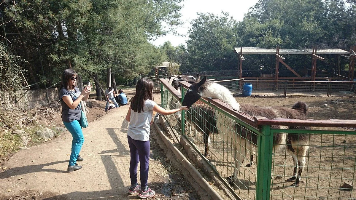 Granja Aventura