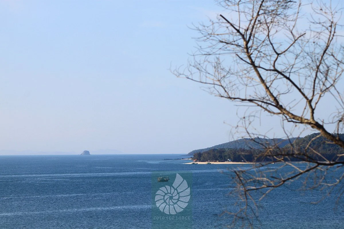 Co To Island