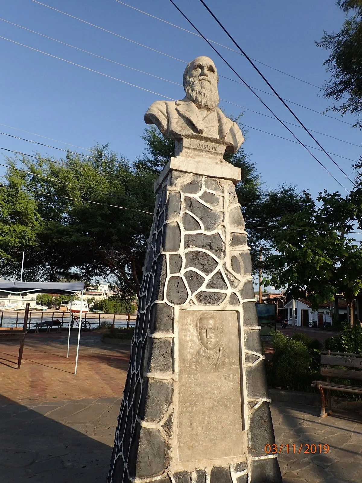 Busto de Charles Darwin.