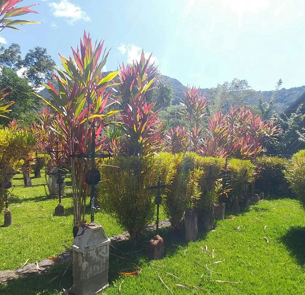 Cementerio de Los Colonos