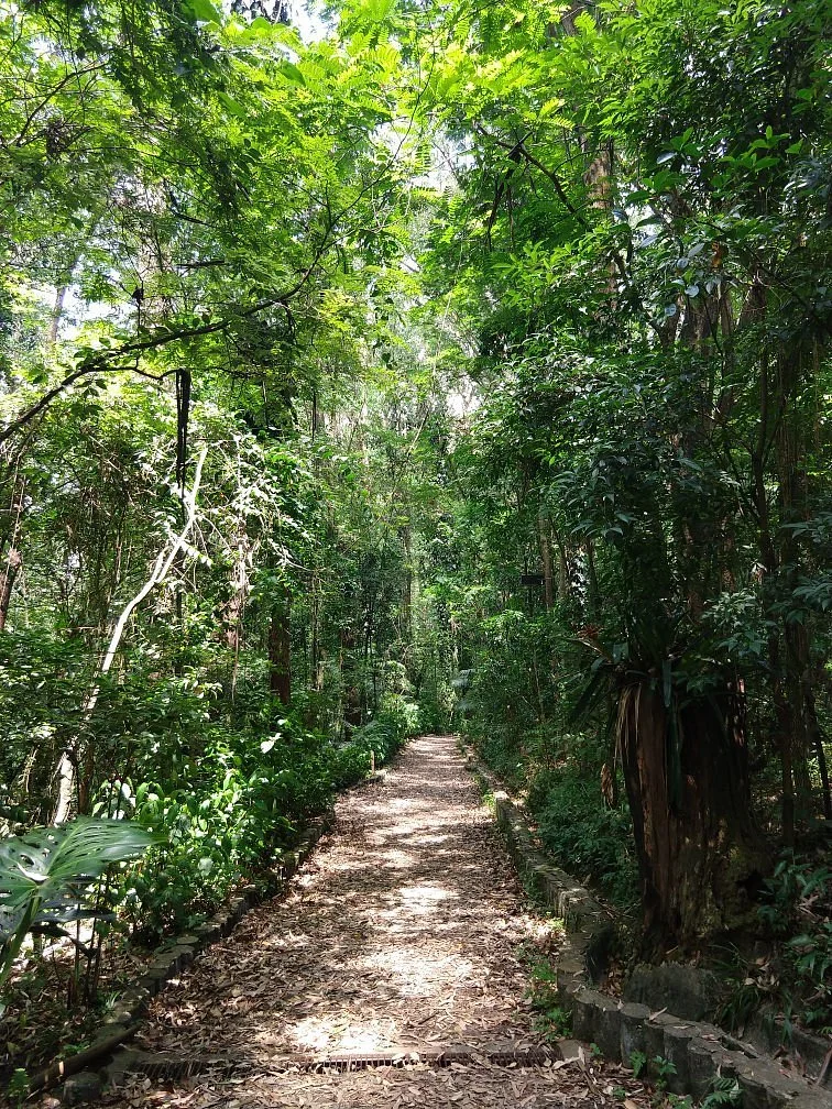 Colina de Sao Francisco