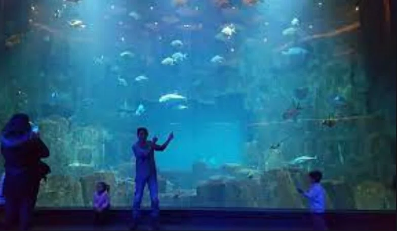 Acuario Amazonas, Quito.