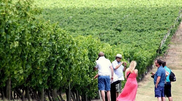 Pizzarno Winery