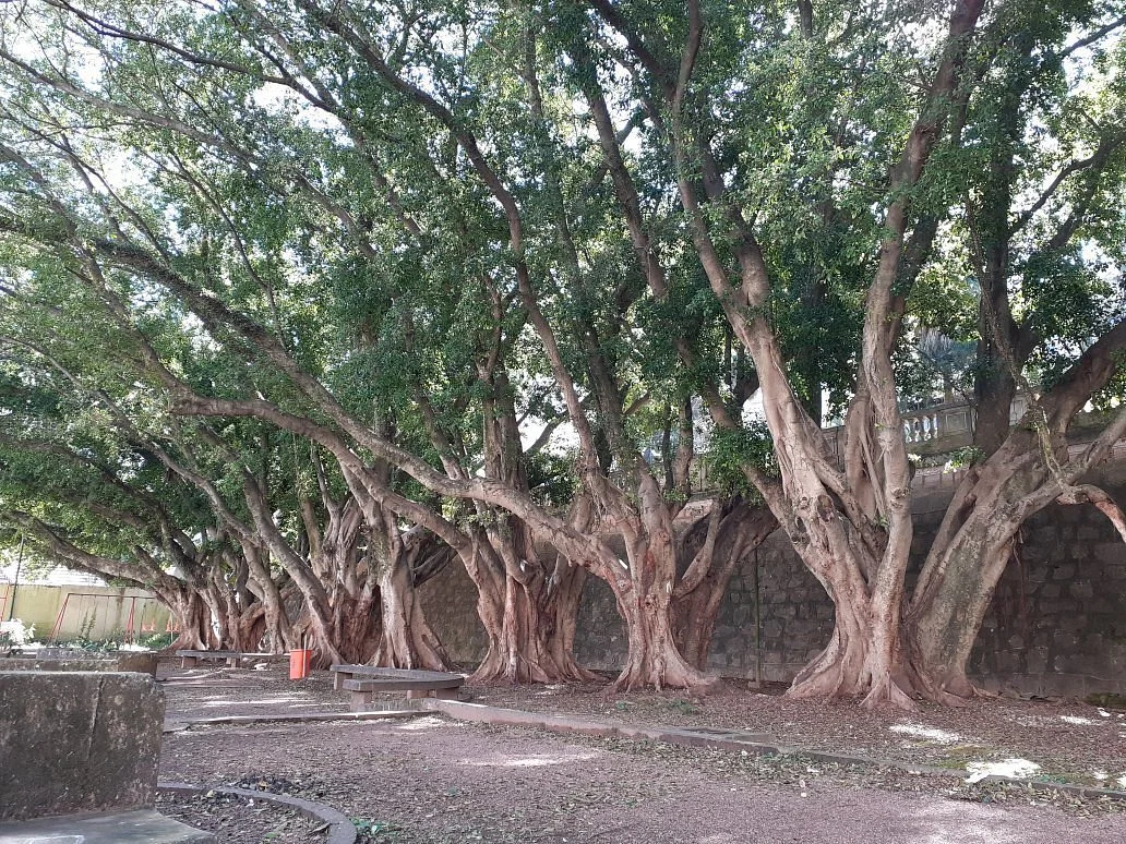 Praça Padre Gegório de Nadal
