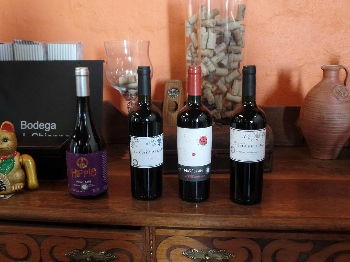 Bodega J. Chiappella