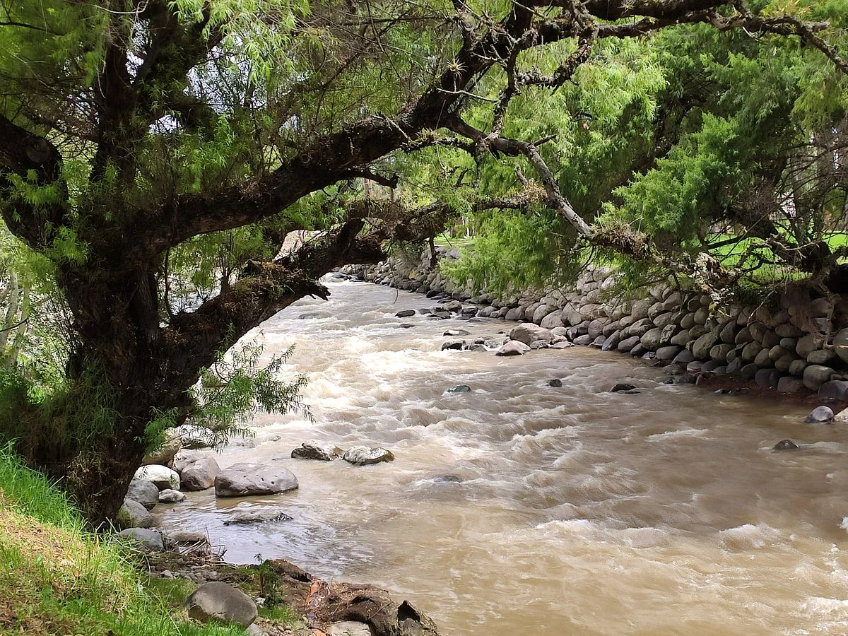 Rio Yanuncay