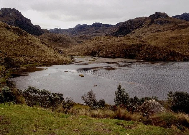 Lagunas Unidas