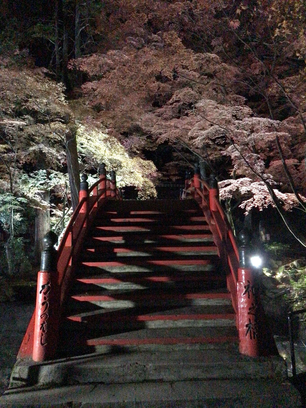 Imakoyasan Ryuge-ji Temple
