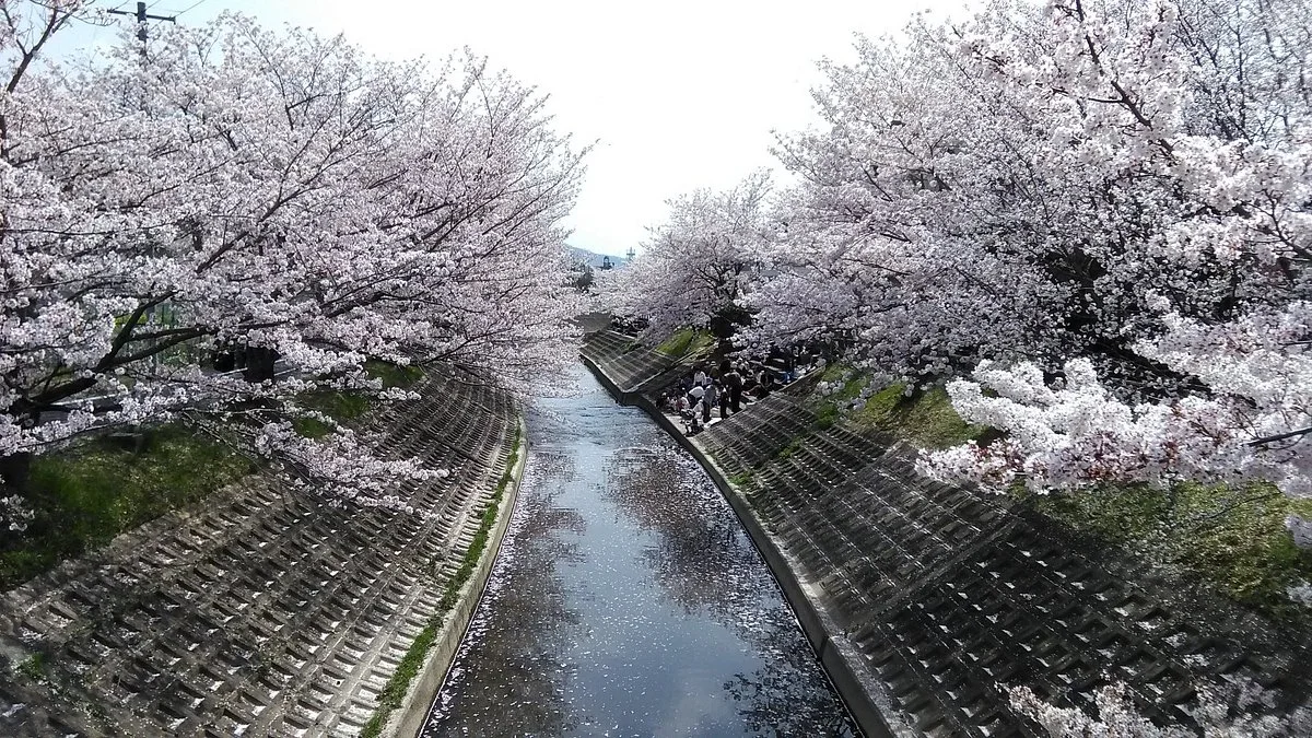 Tatsutagawa Walking Path