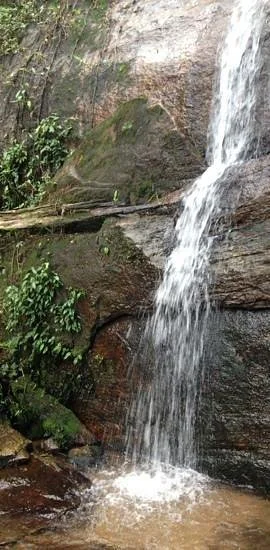 Cachoeira dos Primatas