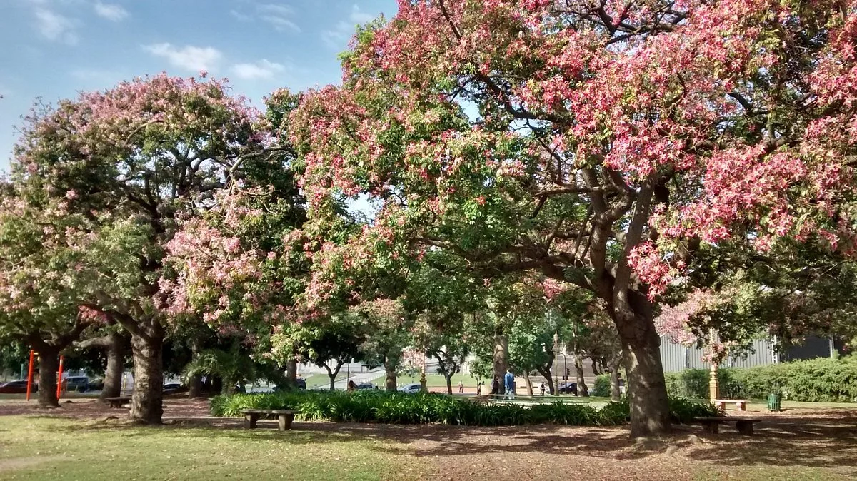 Plaza Ruben Dario