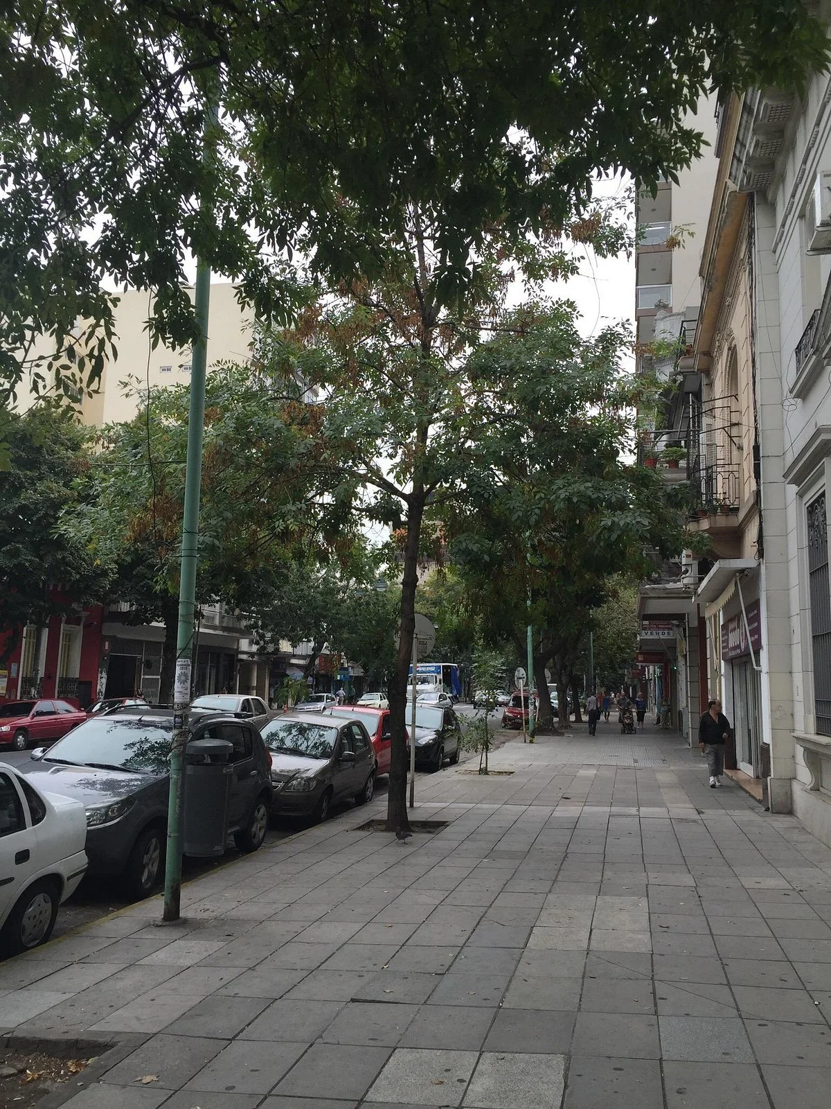 Boedo