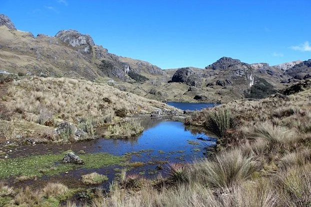 Marmolcocha Lagoon