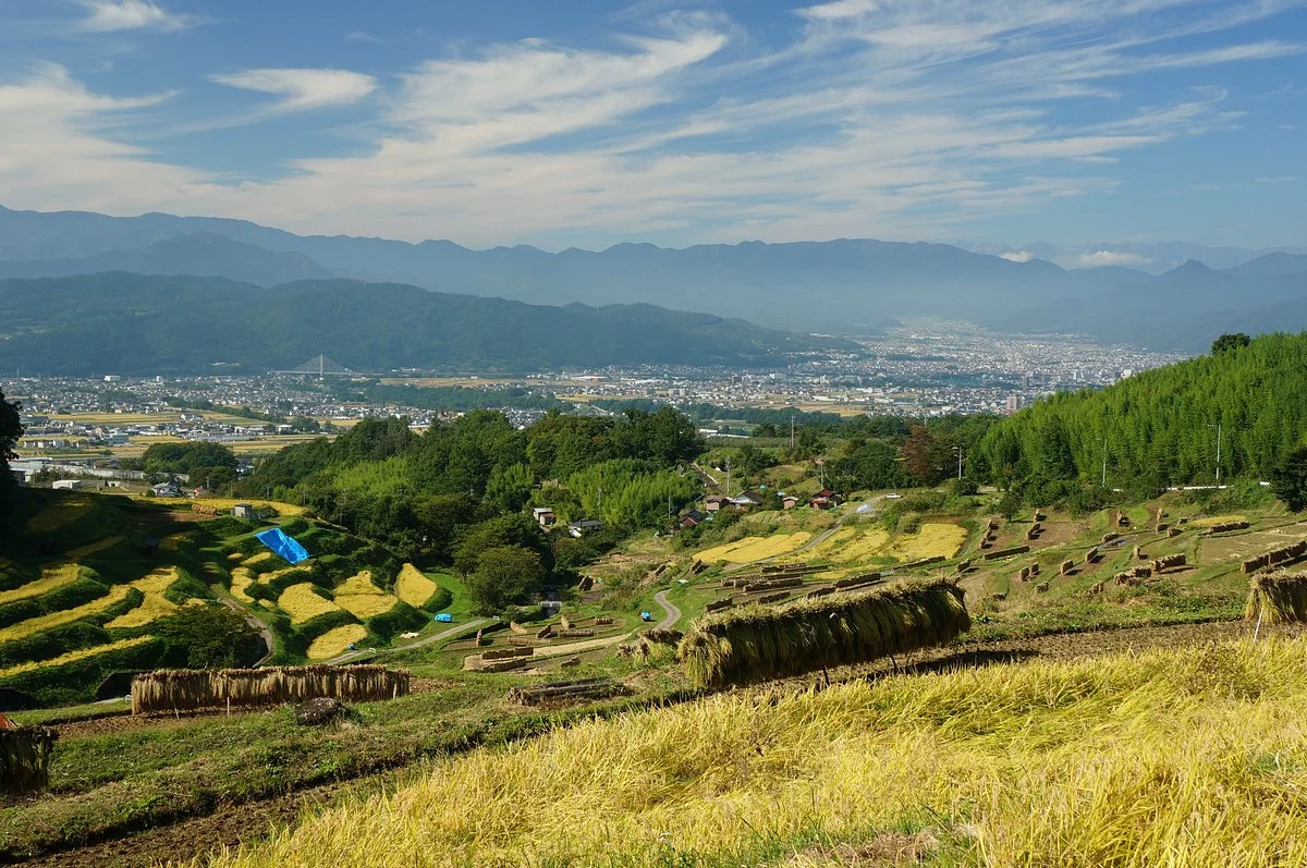 Inagura Rice Terraces