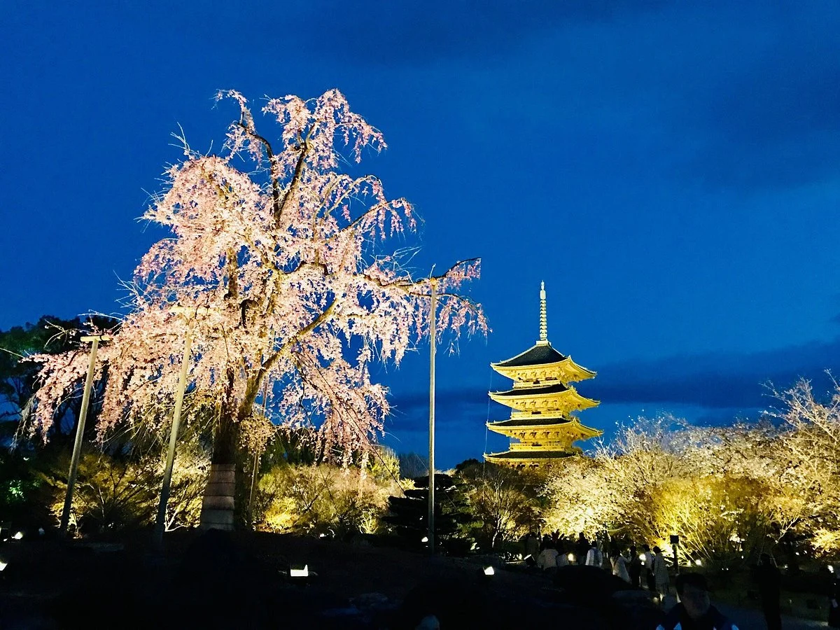 Toji