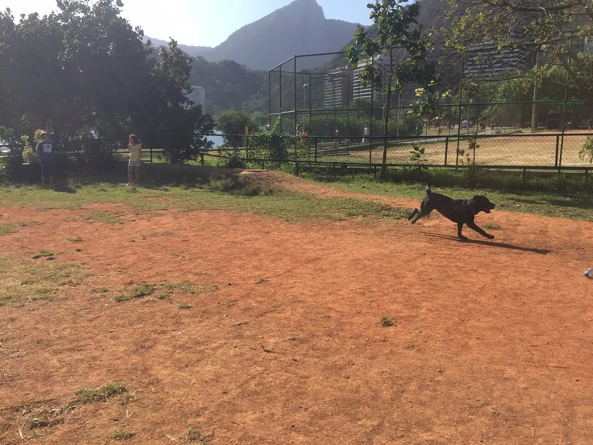 Parcão da Lagoa