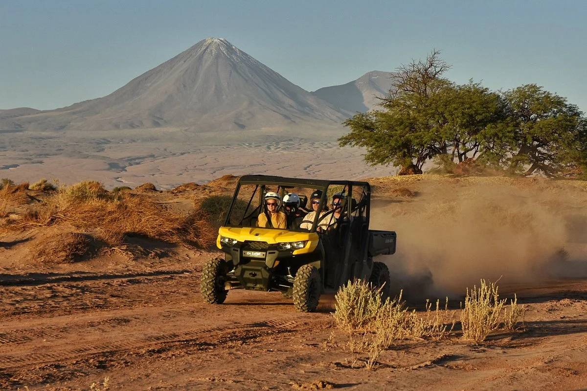 On Safari Atacama