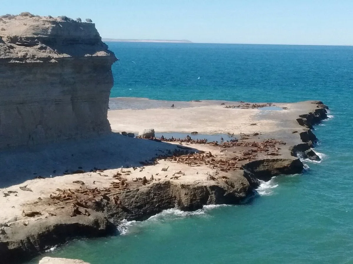 Arrieros Patagonicos