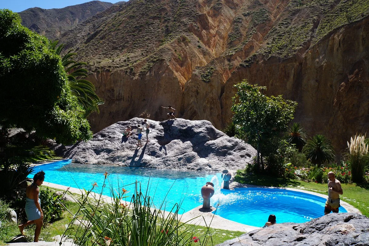 Oasis Palmeras Travel Tour Operator