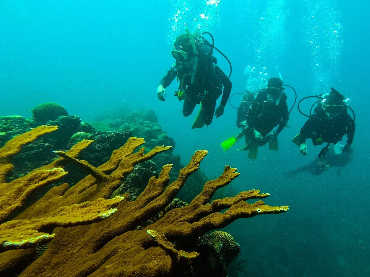 Casa de Buceo
