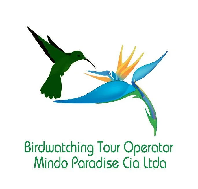 Bird Paradise Tours