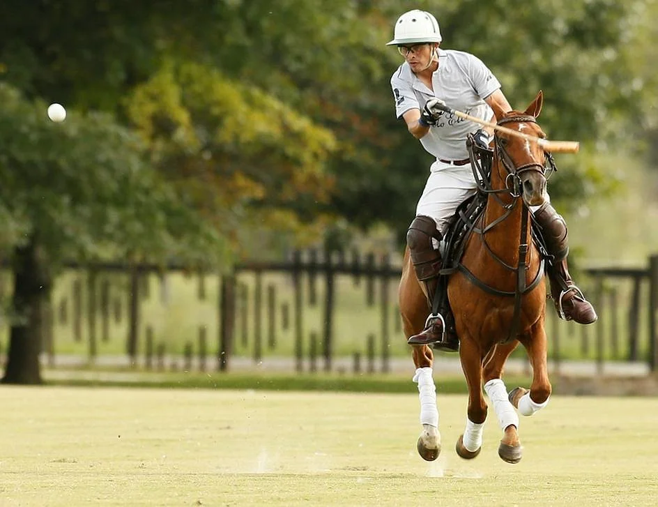 Polo Elite