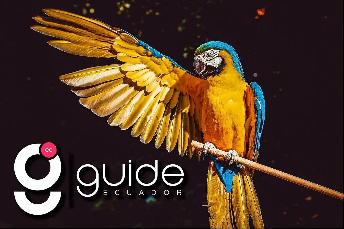 GUIDEcuador Travel