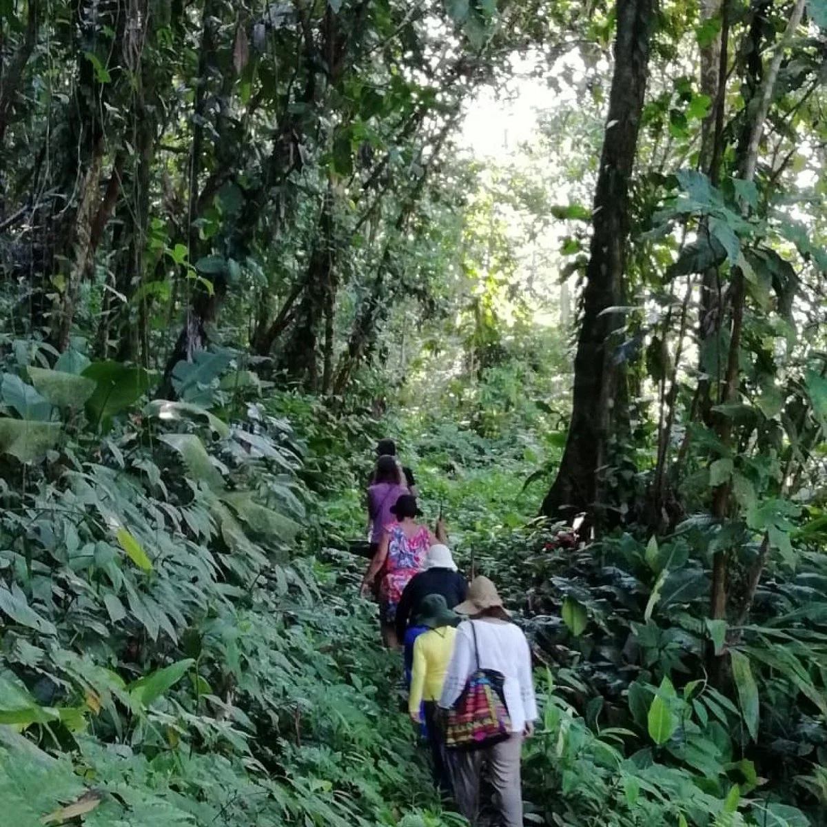 Tundo Tours