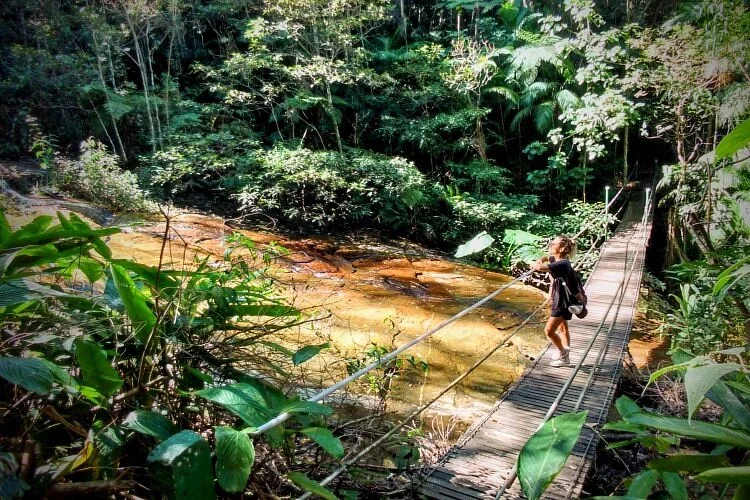Jungle Me - Hiking and Trekking Ecotours