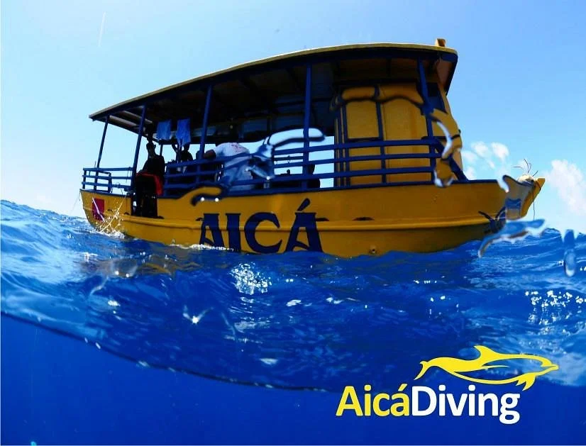 AicaDiving
