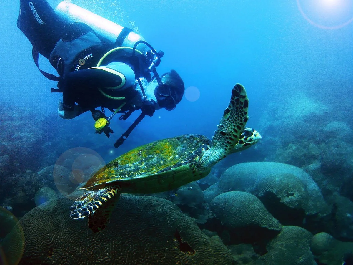 Santa Marta Dive and Adventure