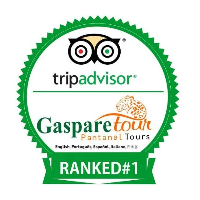 Gasparetour Pantanal Tours