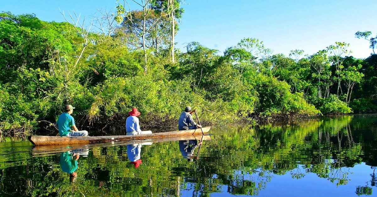 Amazonian Trails