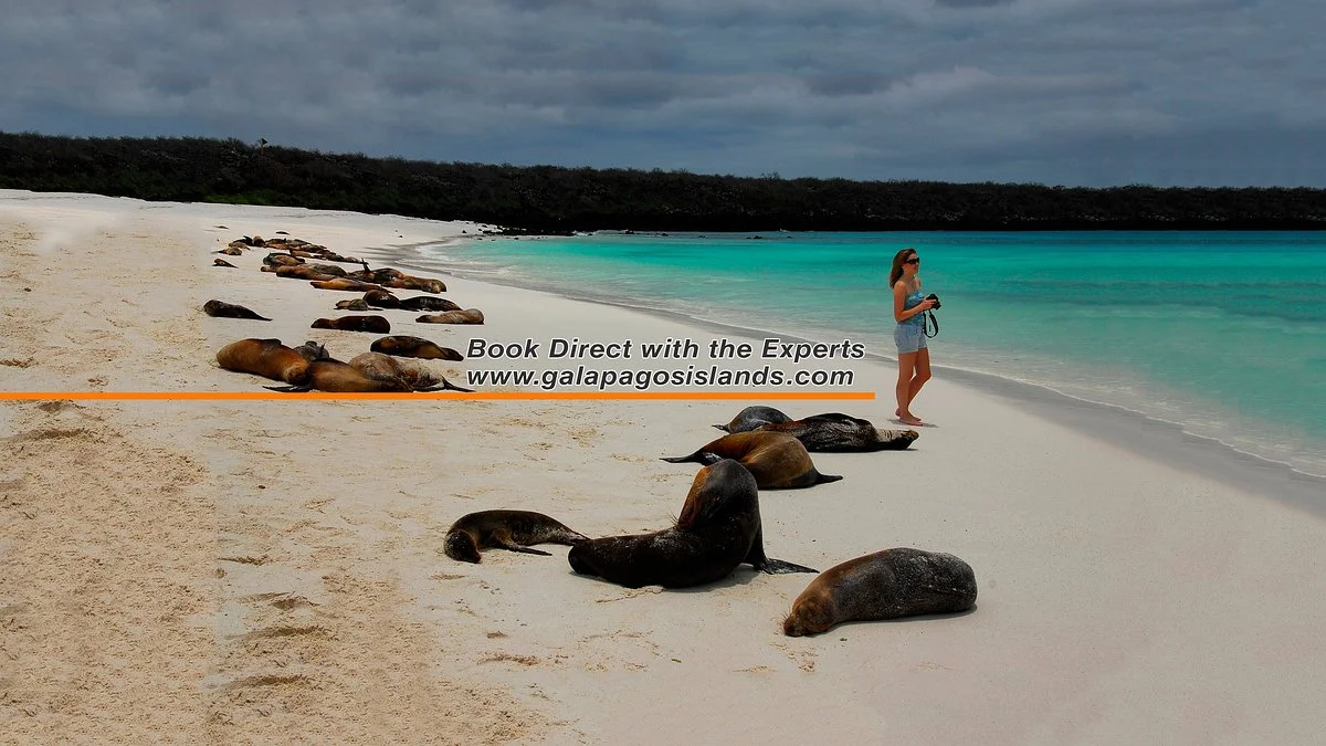 Galapagos Travel Center