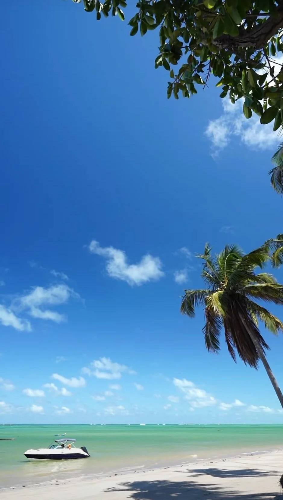 Sergio tour Alagoas, passeios turistico Maceio