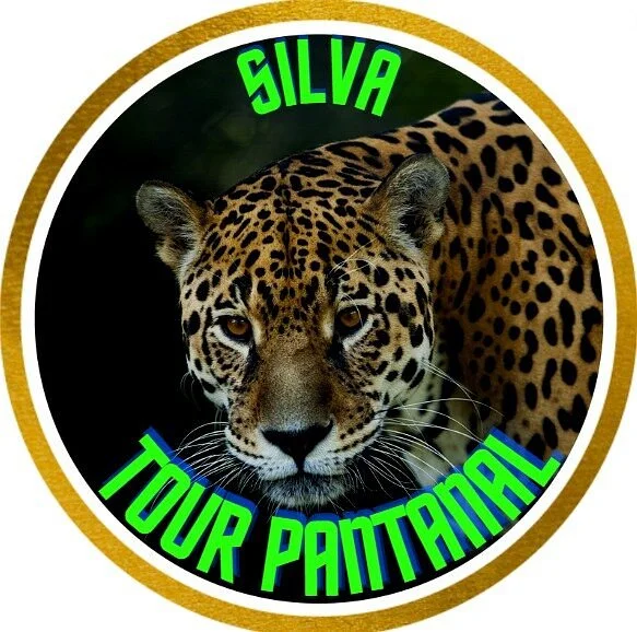 Silva Tour Pantanal