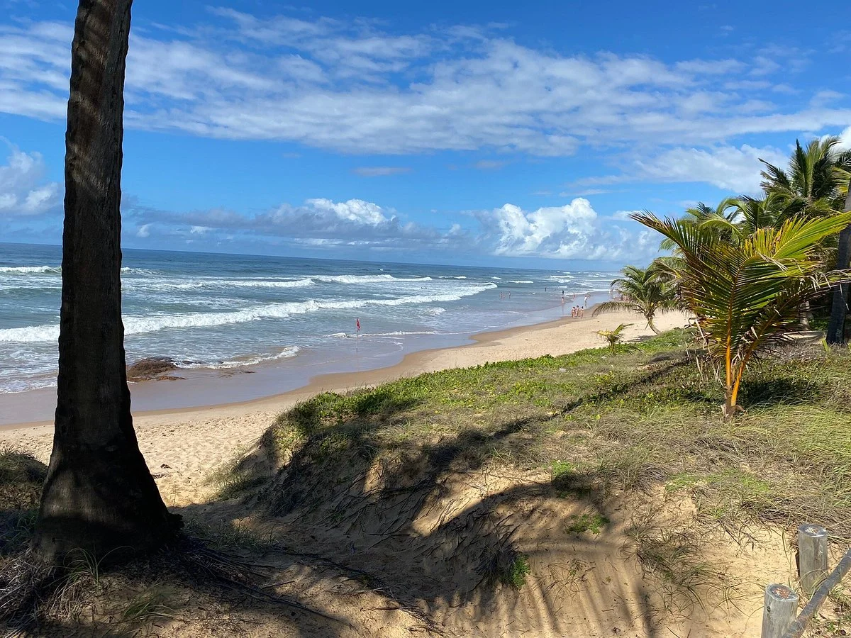 Bahia Nativa Viagens