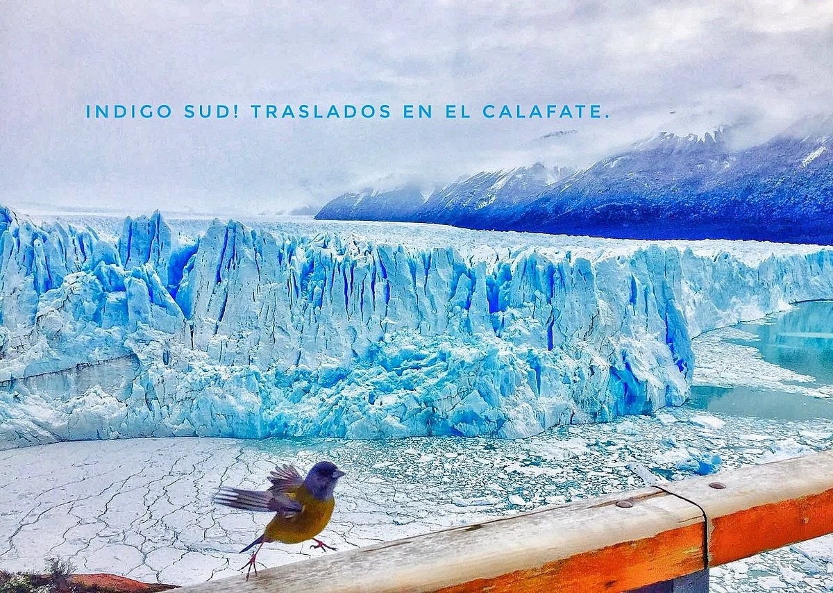 Indigo Sud Traslados privados en El Calafate
