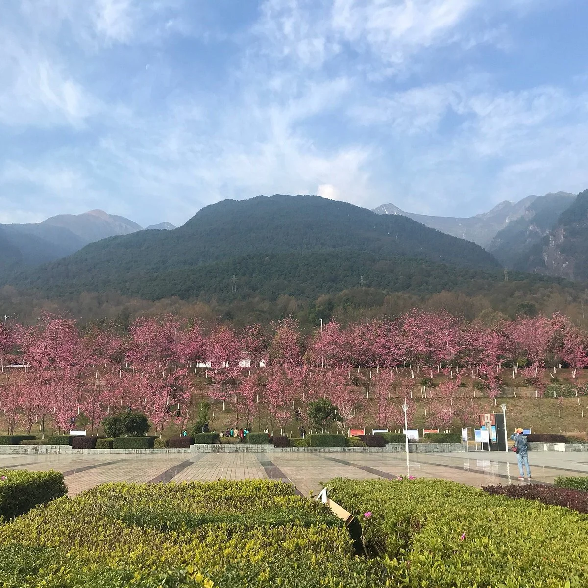 Dali University