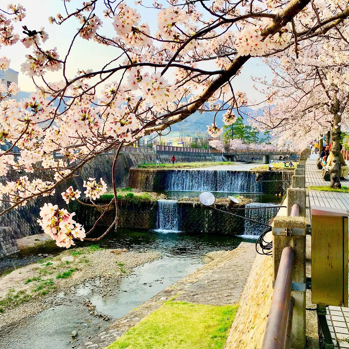 Ashiyagawa Kahan