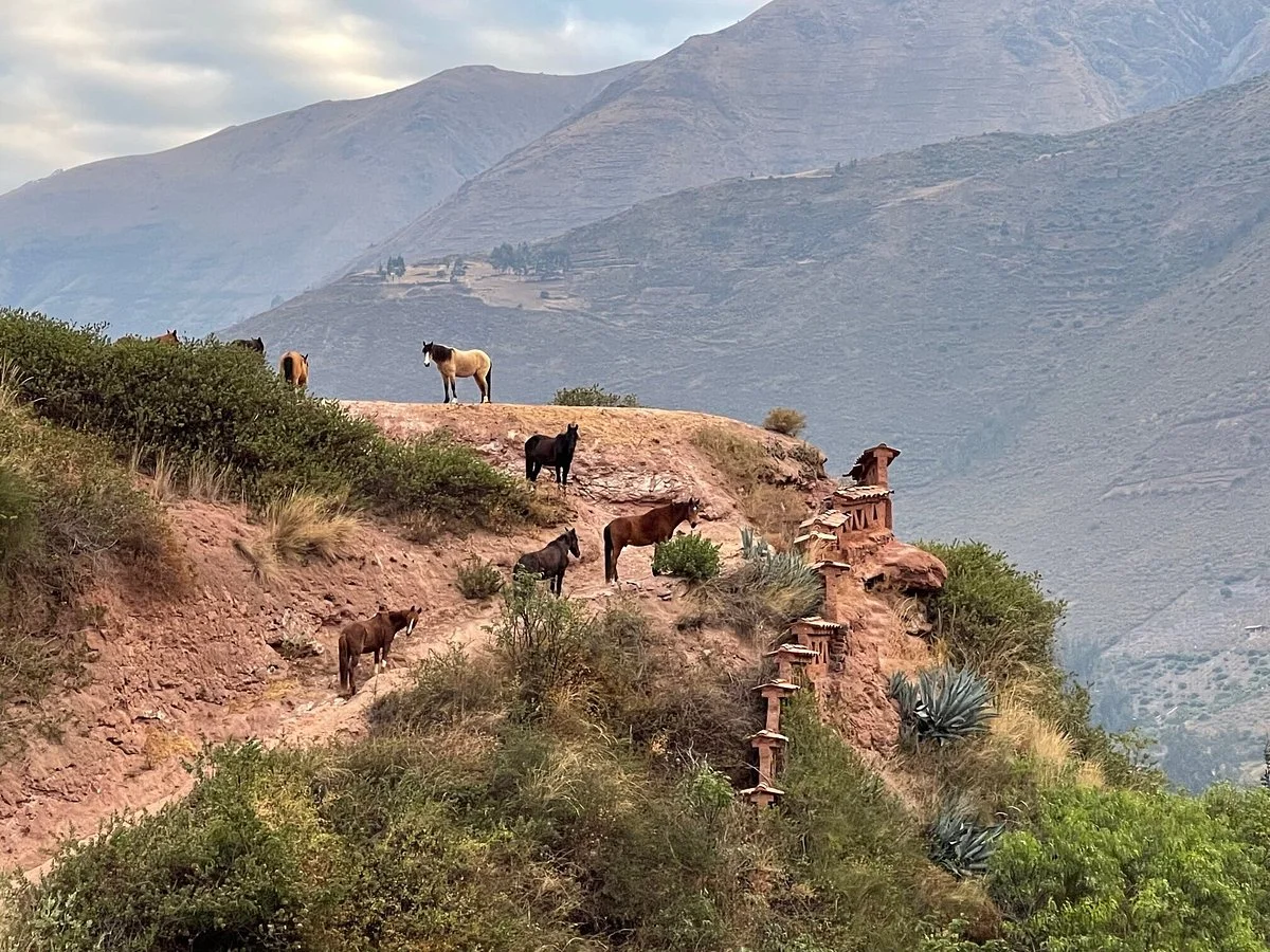 Salineras Ranch