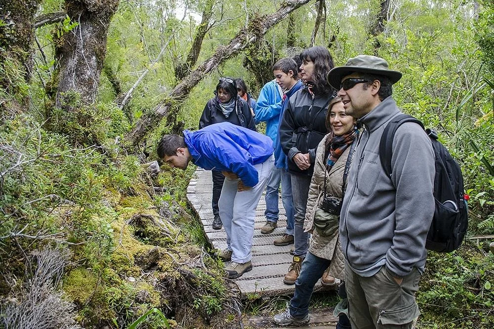 Siempre Verde Turismo