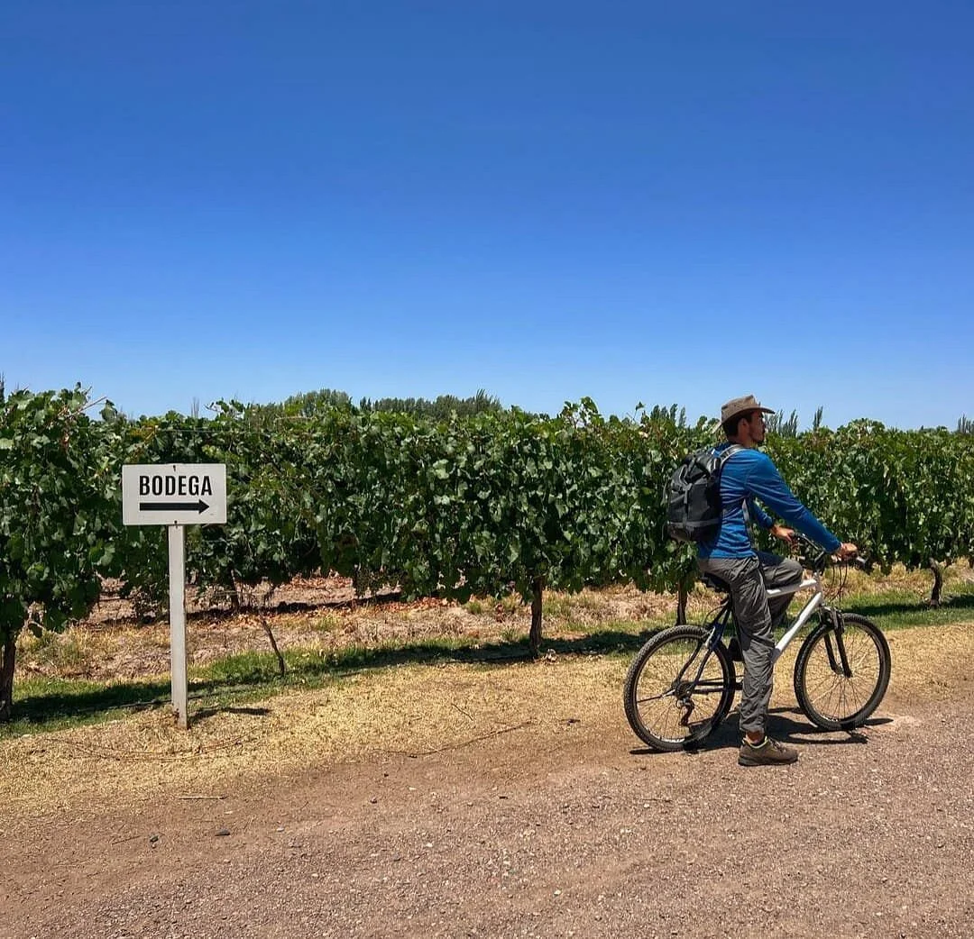 Maipu Bikes