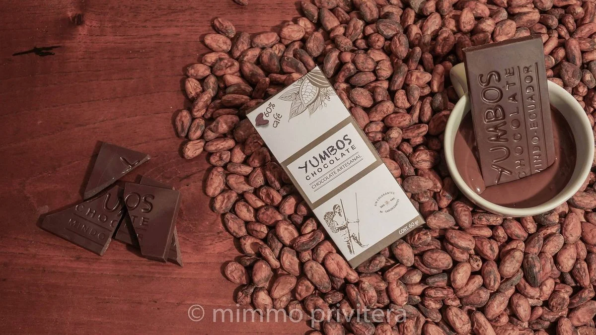 Yumbos Chocolate