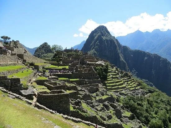 Condor Travel