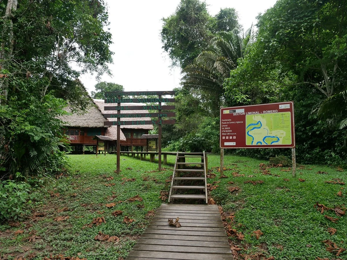 Manu Rainforest Peru