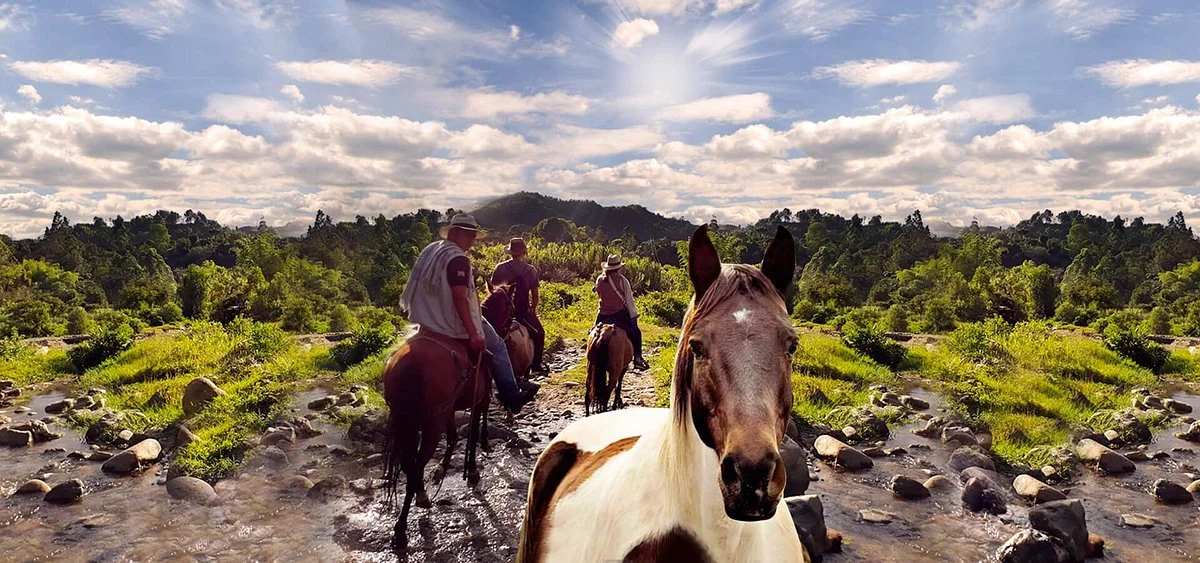 Cabalgatas Caminos y Trochas de Salento